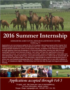 MARE Center Summer Internship
