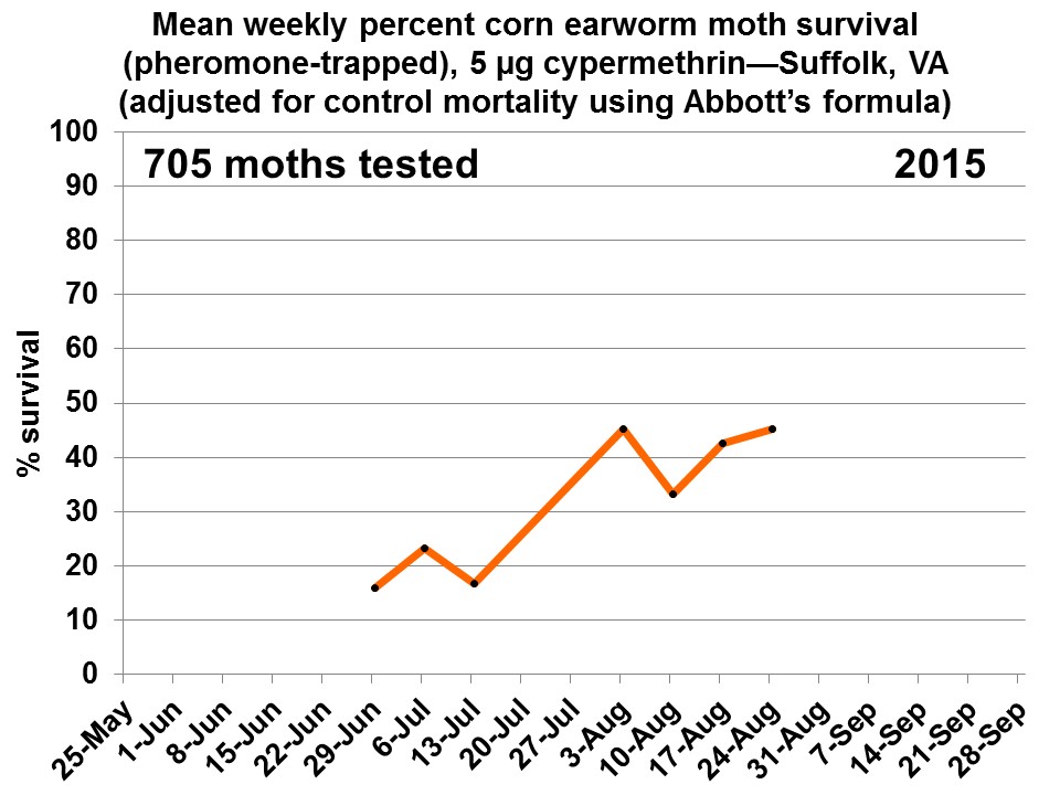 Corn earworm moth catch has really picked up at some Virginia