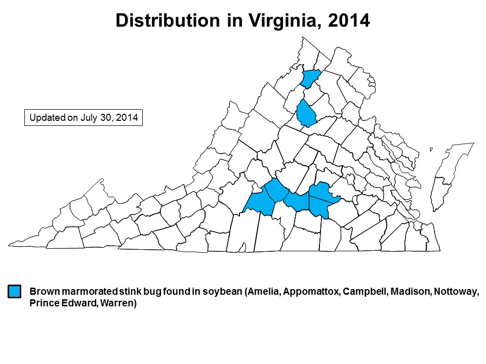 map of Virginia showing BMSB distribution