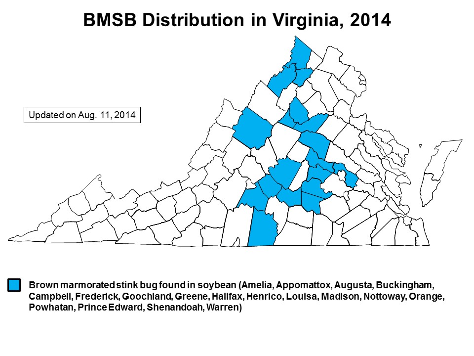 Virginia counties with brown marmorated stink bug found in soybean, updated on August 11, 2014
