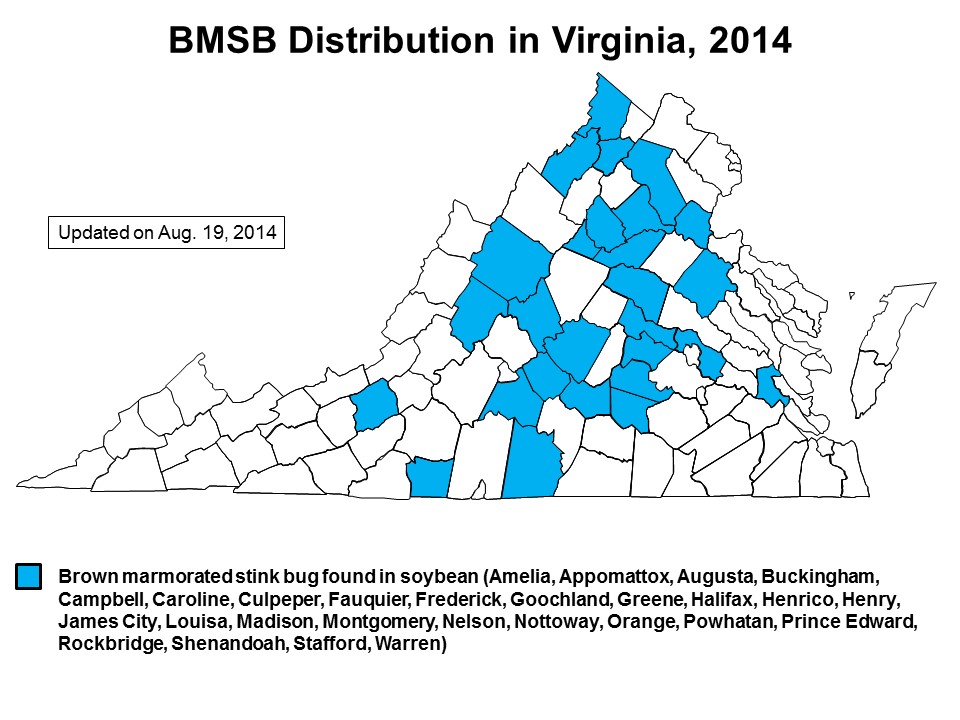 Map of Virginia counties where brown marmorated stink bug has been found as of August 19, 2014
