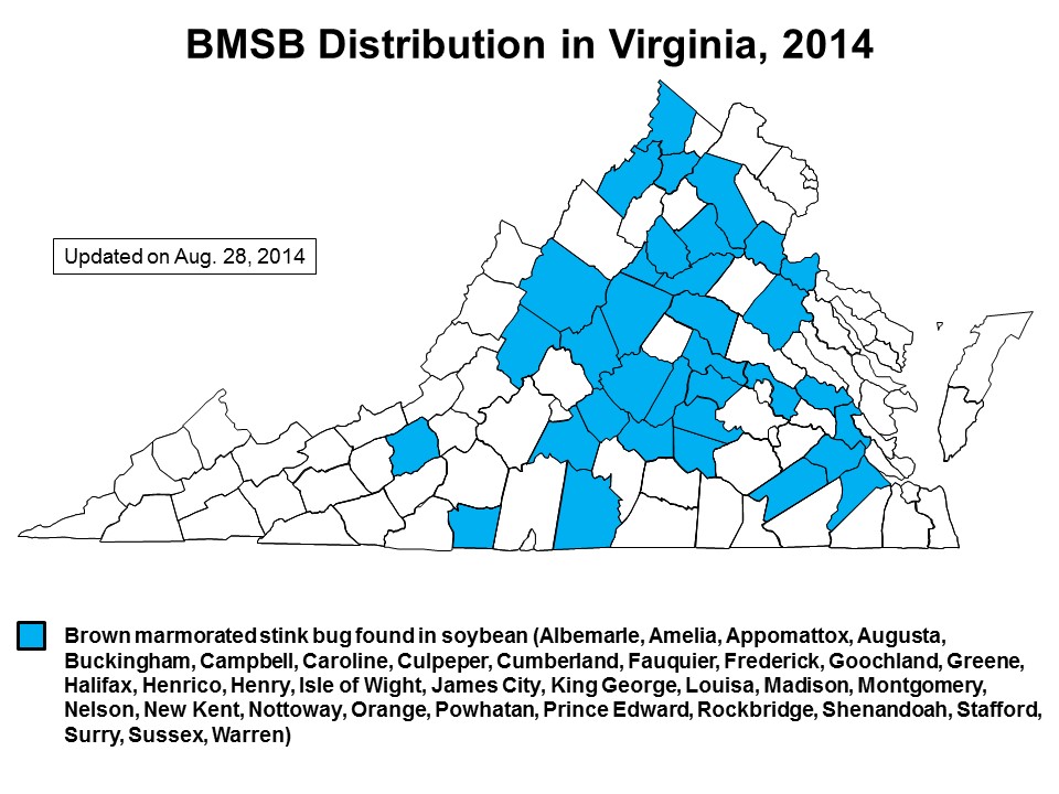 Distribution of brown marmorated stink bug in soybean in Virginia counties as of Aug. 28, 2014