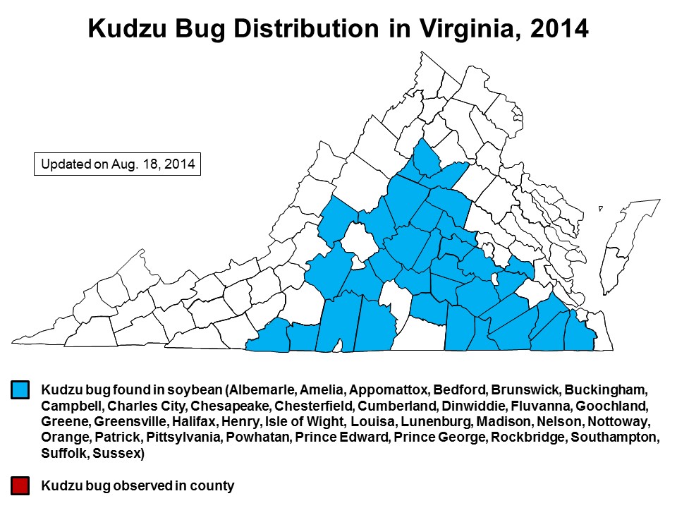 Map of Virginia counties where kudzu bug has been found as of August 18, 2014