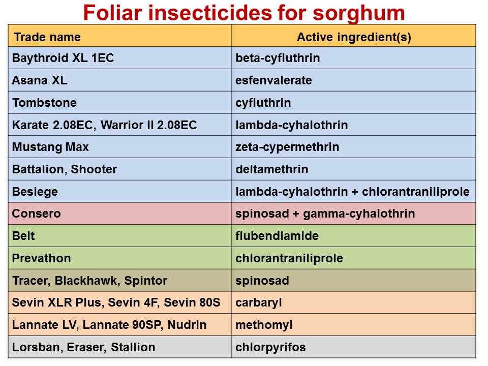 Table of foliar insecticides and their active ingredient(s) for sorghum