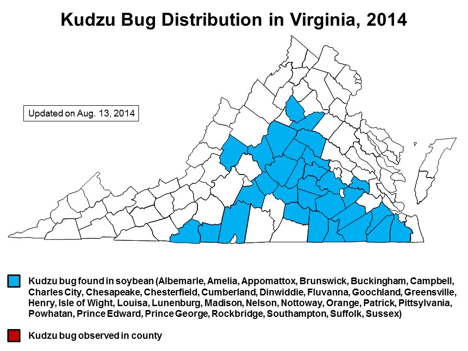 Virginia counties with kudzu bug, updated on August 13, 2014