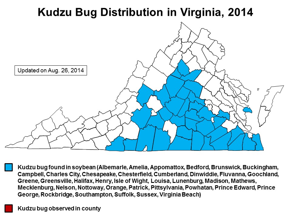 Distribution of kudzu bug in Virginia as of Aug. 26, 2014