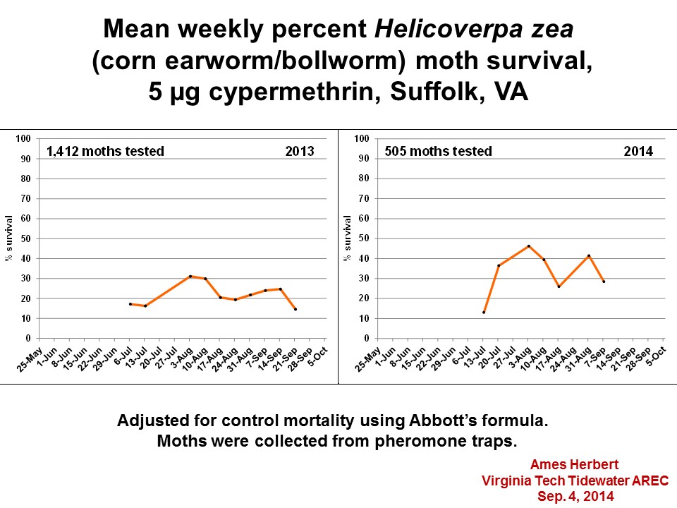 Line graphs of cypermethrin vial testing (resistance monitoring) of Helicoverpa zea moths, updated on September 4, 2014