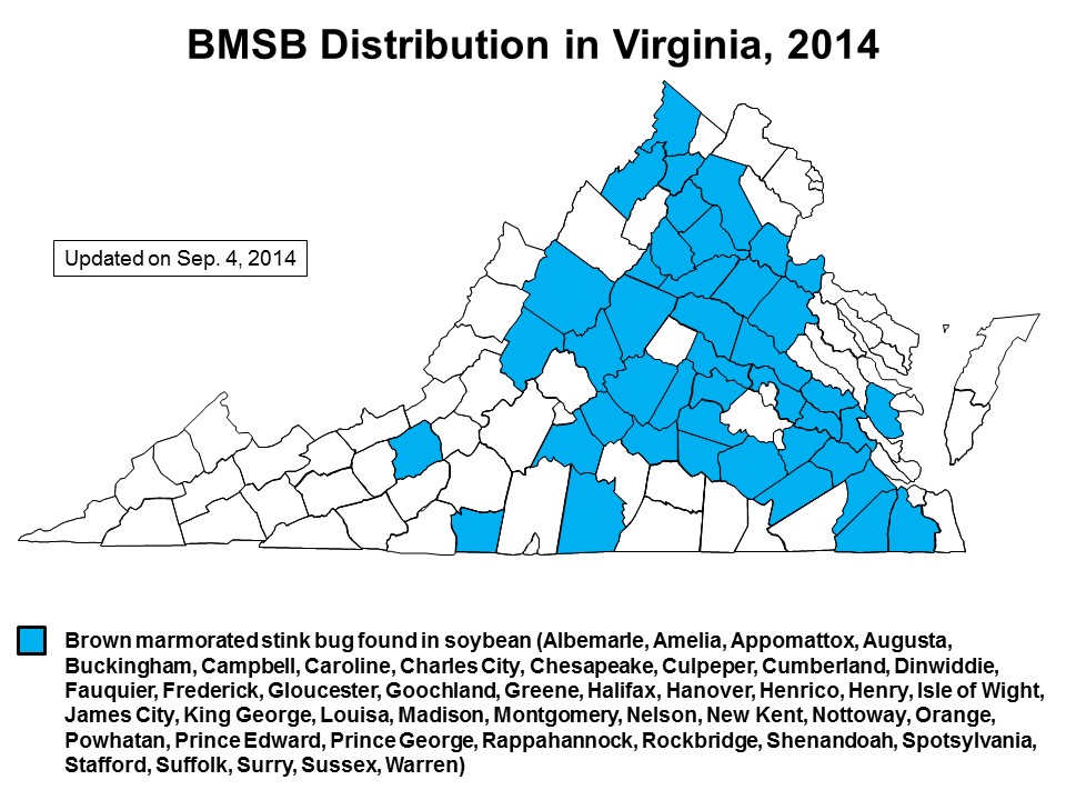 Distribution map of brown marmorated stink bug in Virginia soybean, updated on Sep. 4, 2014