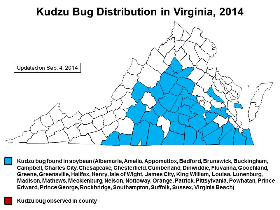 Distribution map of kudzu bug in Virginia, updated on September 4, 2014