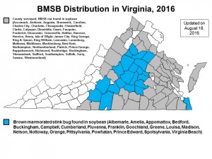 BMSB_map_18_Aug_2016