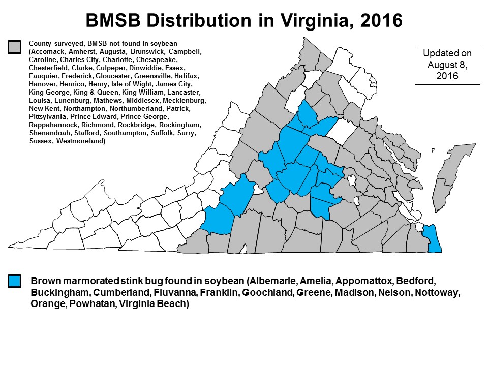 BMSB_map_8_Aug_2016
