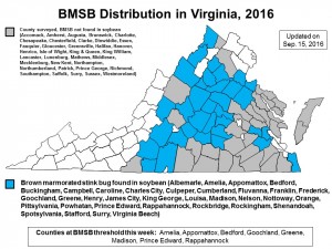 BMSB_map_15_Sep_2016