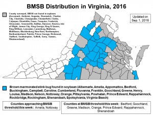 BMSB_map_1_Sep_2016