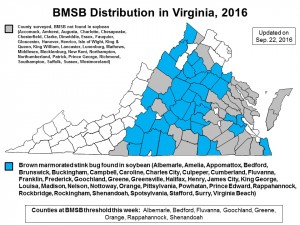 BMSB_map_22_Sep_2016