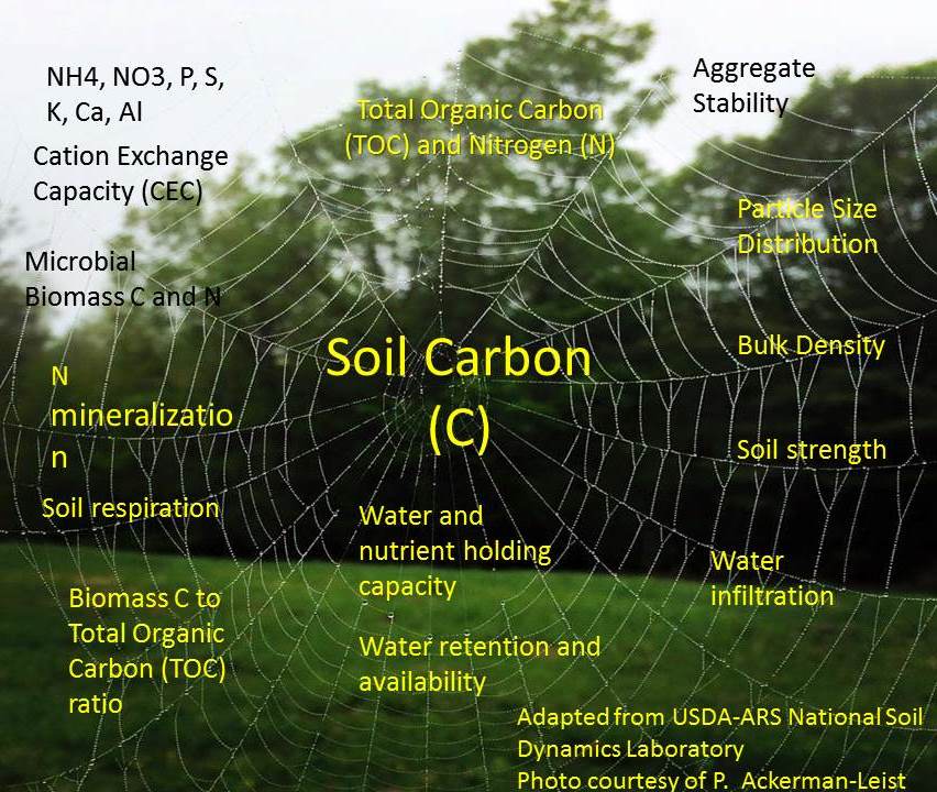 Health From The Soil Up Virginia Farm To Table