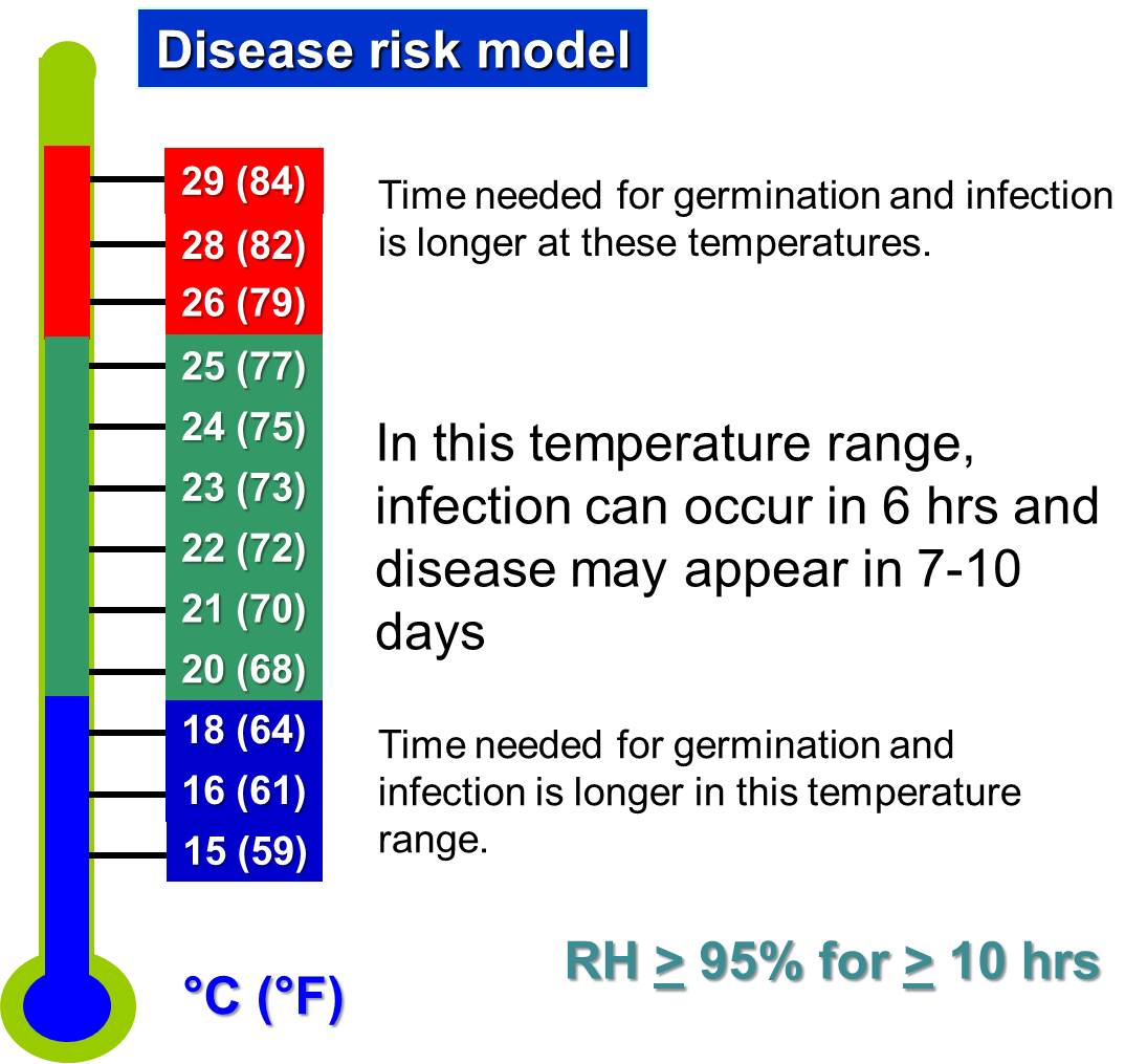 Disease Risk Model