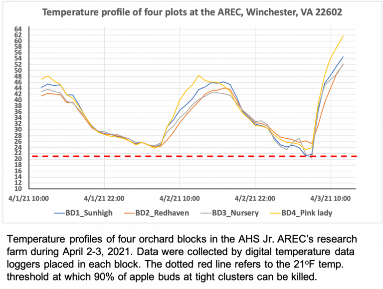 More frost damage recorded in Apples and Sweet Cherries in Winchester