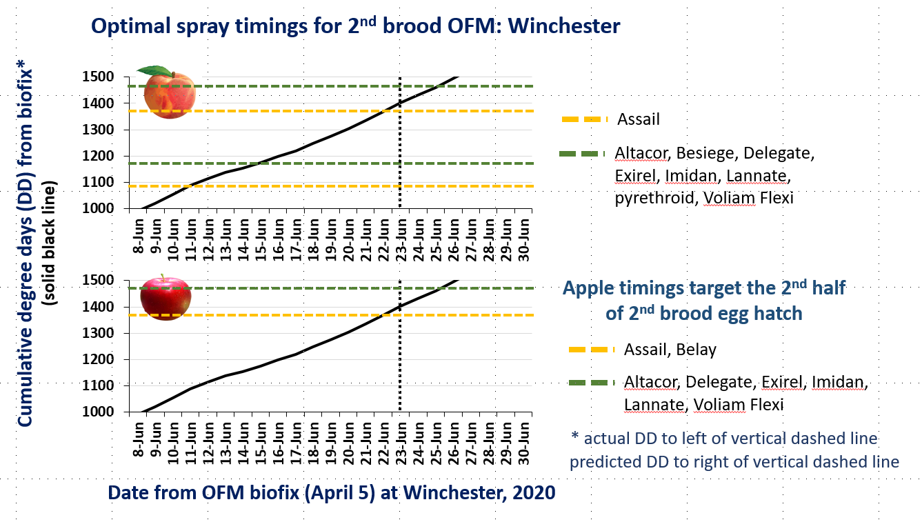 OFM Degree Days and Optimal Spray Timing, 6.22.20 | Tree ...